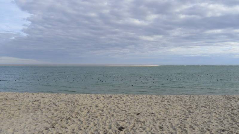 USA_2011-11-29 11-01-05